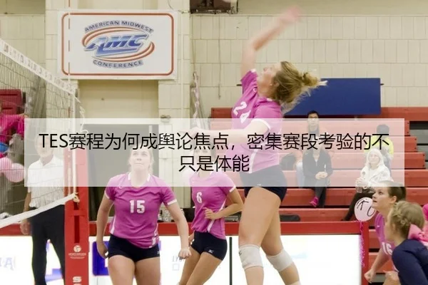 TES赛程为何成舆论焦点，密集赛段考验的不只是体能