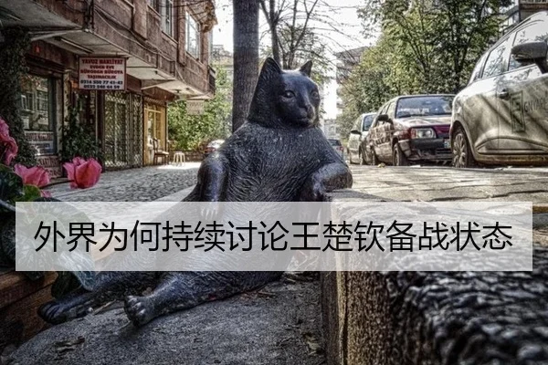 外界为何持续讨论王楚钦备战状态